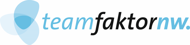 TeamFaktor